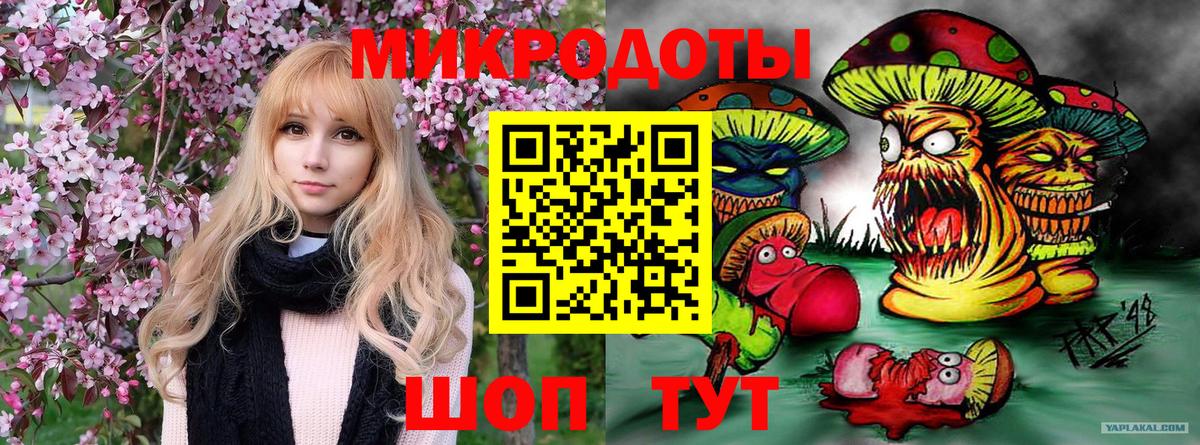 Галлюциногенные грибы прущие грибы Рубцовск