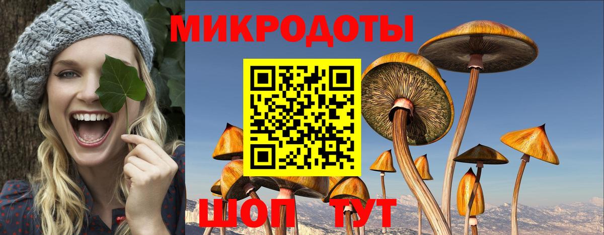 Рубцовск  Псилоцибиновые грибы Psilocybine cubensis  Вход с VPN 